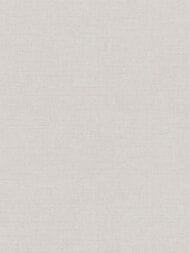 ���� ��������� �� ��������� As Creation Pacifica Deluxe (1,06�10,05) ����� 39992-4 (���.)