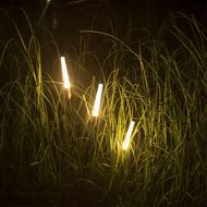 ����������� ���������� Odeon Light Canna 7020/4GL, ������