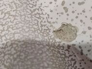 ������! �������� Aquaton ����� 120 1A729631AG010 1202�452�145 �� �������, ����� ������, ����: �����