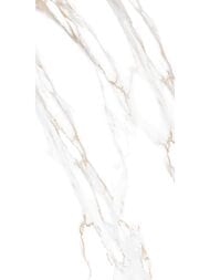 ������ ��������� Alma Ceramica Dakota (249x500) ����� TWU09DKT004 (��.�)