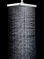 ������� ������� � ���������� �������-��������������, ������ � ������� ����� , FRAP ����, F2484