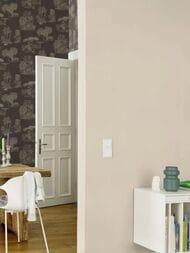 ���� ��������� �� ��������� Rasch Natural Colors (0,53�10,05) �������, ��� ����� 555851 (���.)