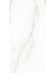 ������ ��������� Alma Ceramica Euphoria (249x500) ����� TWU2550EPH04 (��.�)