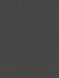     Rasch Indian Style (0,5310,05) , - 746198 (.)