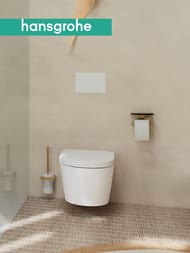 ��������� ��������� ������ Hansgrohe AddStoris 41772140 ���������, � ������, ����. ������