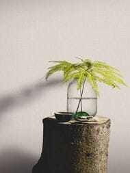 ���� ��������� �� ��������� Erismann 4 Earth Melissa (0,53�10,05), ������� ER10359-38 (���.)