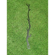  Fire-House ""  ,  KV