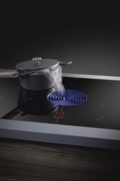 �������� ������ BORA Pure ��� ������������ �������, ����� PUEDB