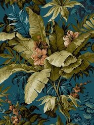 ���� ��������� �� ��������� Grandeco Asperia A 55801 (0,53�10,05) �����, ����� (���.)