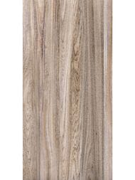 ������ ��������� Alma Ceramica Dublin (249x500) ���������� TWU09DBL404 (��.�)