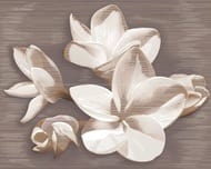 ����� AZORI Amati Plumeria Alba (402�505) ���������� (��.)
