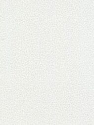 ���� ��������� �� ��������� ROBERTO CAVALLI Home 8 (1,06�10,05) �������, ����� 19020 (���.)