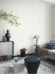 ���� ��������� �� ��������� Erismann Spotlight 2 ER12204-01 (1,06�10,05) ����� (���.)