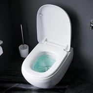 Сиденье для унитаза AM.PM Sensation C307851WH быстросъемное, с микролифтом