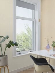 ���� ��������� �� ��������� Rasch Gentle Elegance (1,06x10,05) ���������, ������� 977233 (���.)