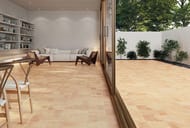 ��������������� ������ Wow RootsSand M (110�220) ���������, ������� 128200 (��.�.)