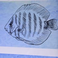 ����� ��� ������ ������� WasserKRAFT Inn 180�200�� ��������� SC-43101