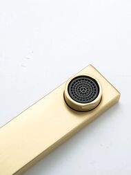 ������� ������� � ���������� �������, ������ � ������� ����� , FRAP ����� �������, F2461-3