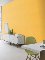     Rasch Indian Style (0,5310,05) ,  746082 (.)