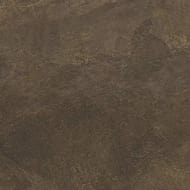 ��������������� ������ KERAMA MARAZZI ��� ����� (600�600�9) ���������� DD600220R (��.�.)