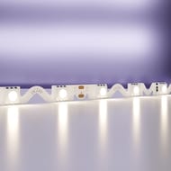 ������������ ����� Maytoni Led Strip 20045 24� 5050 12��/� 4000K 5� IP20, �����