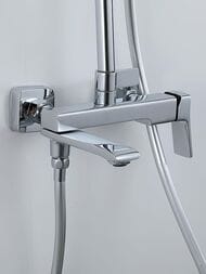 ������� ������� � ���������� �������-��������������, ������ � ������� ����� , FRAP ����, F2484