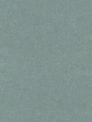     Erismann Gentle ER12207-07 (1,0610,05)  (.)