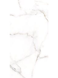 ������ ��������� Alma Ceramica Grigio (249x500) ����� TWU09GRG007 (��.�)