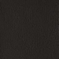  Mutina Phenomenon (250250) ,  TYPWI06 (.)