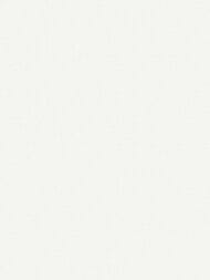 ���� ��������� �� ��������� Wall Up Step-Up (1.06x10.05) ���������, ����� W187013 (���.)