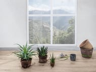 ��������������� ������ LAMINAM ITALY Legno Venezia Corda (1000�3000�3,5) ������, LAMF007301_IT(��.�)