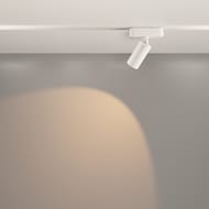 �������� ���������� Maytoni Focus Led Radity (����� ������) TR103-1-12W3K-M-W 3000K 12�� 36�, IP20, �����