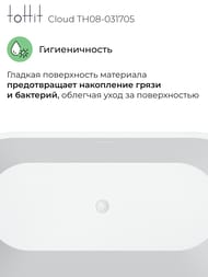    toHit Cloud 1700800580,  , , TH08-031705