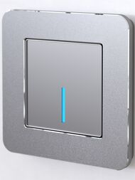  Werkel  1  Platinum () W0012606