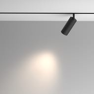 ���������� �������� Maytoni Artisan TR097-2-12W4K-M-BB