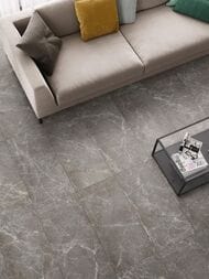 ��������������� ������ ColiseumGres Trevi Brown (450�900) ���������� (��.�.)