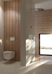 Унитаз подвесной Geberit iCon (350х530х330) безободковый 204060000