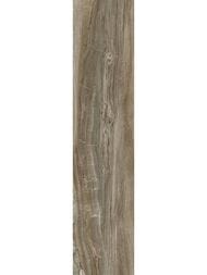 ��������������� ������ Alma Ceramica Wonderwood (200x900) ���������� GFA92WDW44R (��.�)