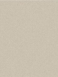 ���� ��������� �� ��������� Wall Up Step-Up (1.06x10.05) ���������, ������� 654721 (���.)