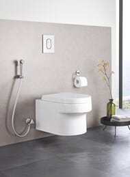   () Grohe Tempesta-F Trigger Spray 27512001
