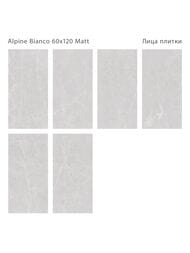 ��������������� ������ Staro Silk Alpine Bianco Matt (600�1200) ������� (��.�.)