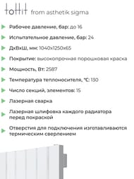 �������� �������� toHit from asthetik sigma, 15 ������, 1040�1250�65, 2587 ��, ������������, ���������