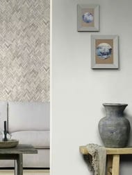 ���� ��������� �� ��������� Rasch Allegretto (0.53x10.05) ���������, ������-����� 479423 (���.)