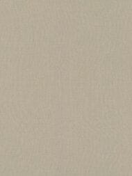 ���� ��������� �� ��������� Rasch Allegretto (0.53x10.05) ���������, ���������� 423921 (���.)