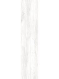 ��������������� ������ Alma Ceramica Ashton (200x900) ����� GFA92ATN07R (��.�)