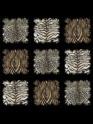 ����� ��������� �� ��������� ROBERTO CAVALLI Home 8 (3,0�3,0) ��������,���� ��������.19106 (���.)