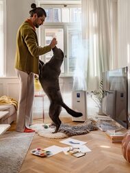   KARCHER  AF 50, (2 )  2.863-078.0