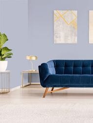 ���� ������������ Hygge 77 Colors C10 05 (1,00�10,05) ������� (���.)