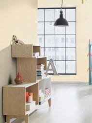 ���� ��������� �� ��������� Rasch Natural Colors (0,53�10,05) ��� �����, ������� 555837 (���.)