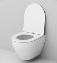 Сиденье AM.PM Spirit 2.0 с микролифтом тонкое C707857WH